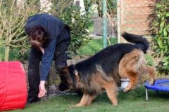 degility-hundetraining-lohmar-03