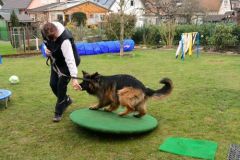 degility-hundetraining-lohmar-07