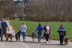 hunde-alltagstraining-21