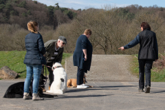 hunde-alltagstraining-3