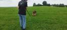 IMG-20250713-WA0020