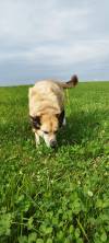 IMG-20250713-WA0025