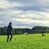IMG-20230923-WA0008(1)
