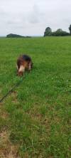 IMG-20250713-WA0022